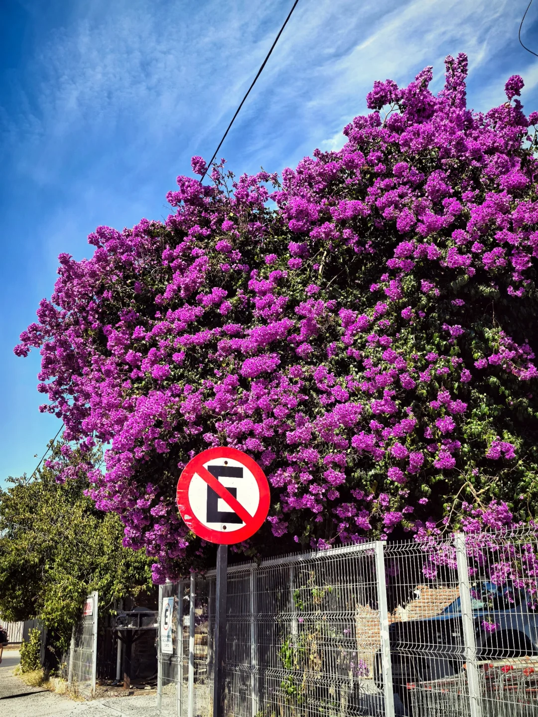 🇨🇱智利-康塞普西翁Concepción