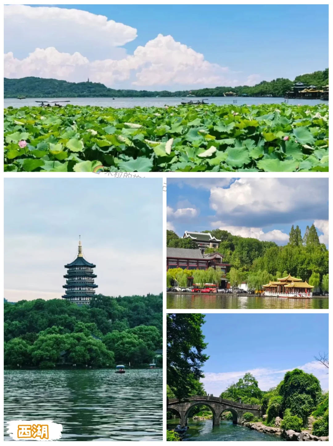 去杭州，每次必打卡的地方.....