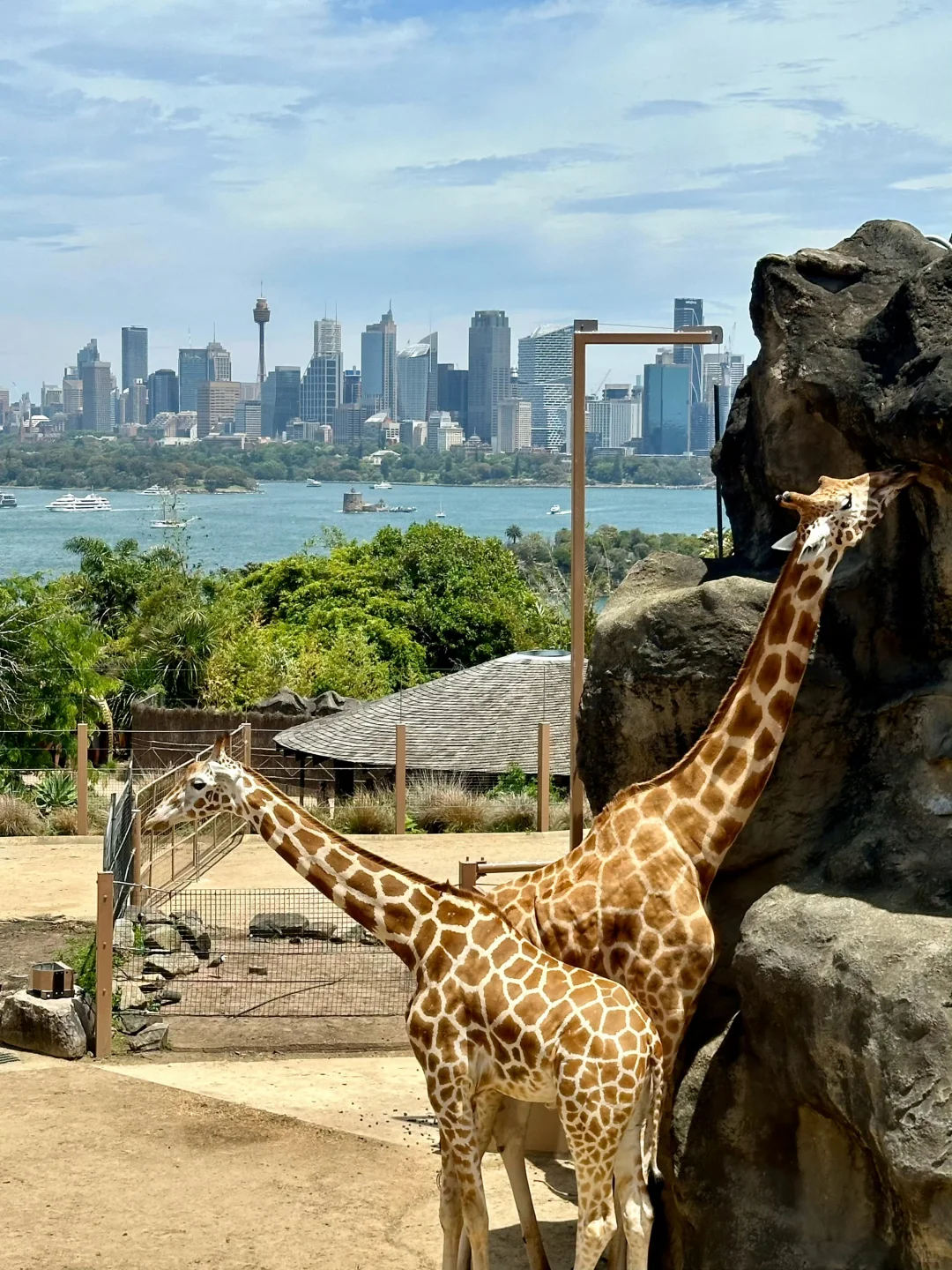 澳大利亚之旅结束后总结的一些旅行建议