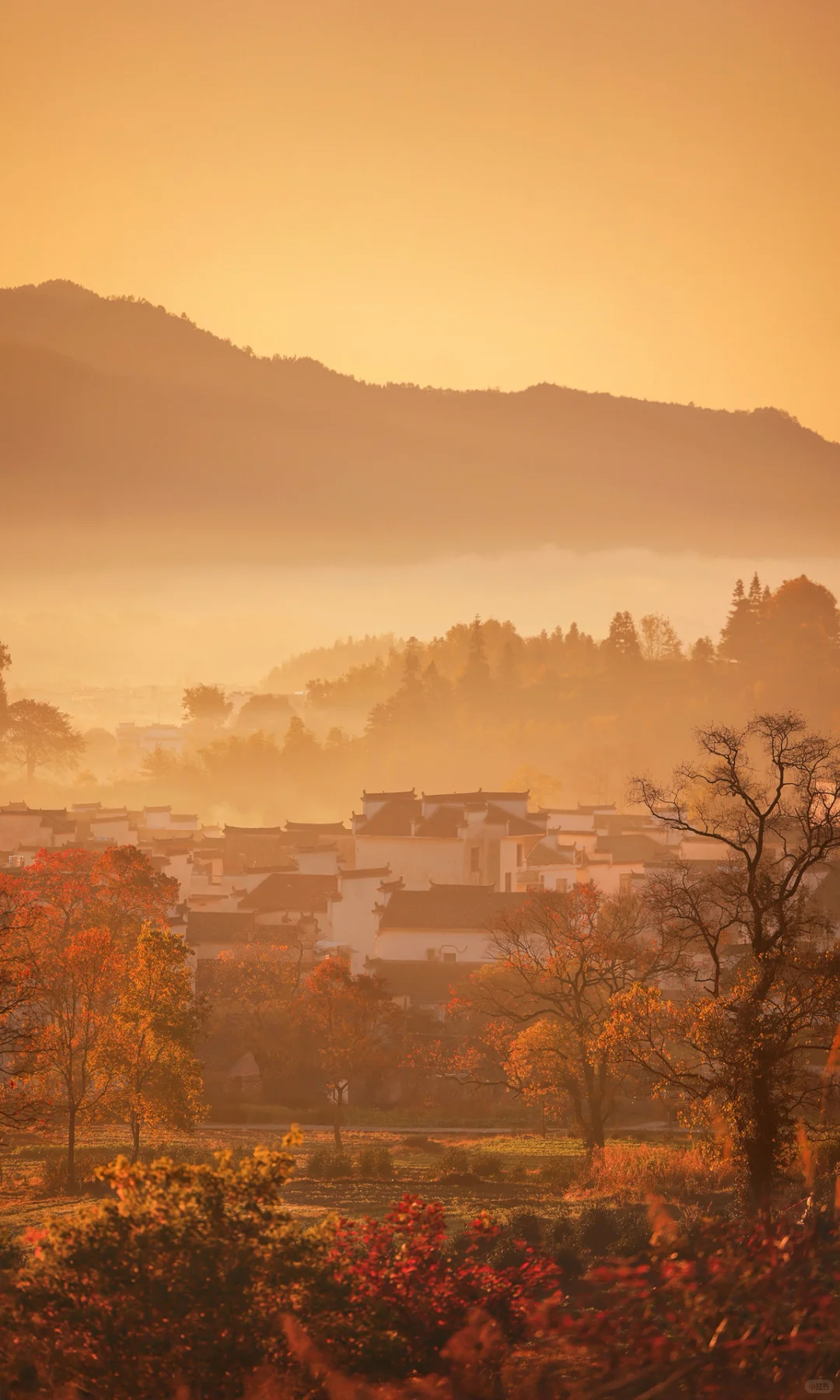 接下来是徽州封神的秋天,期待值已经拉满了!