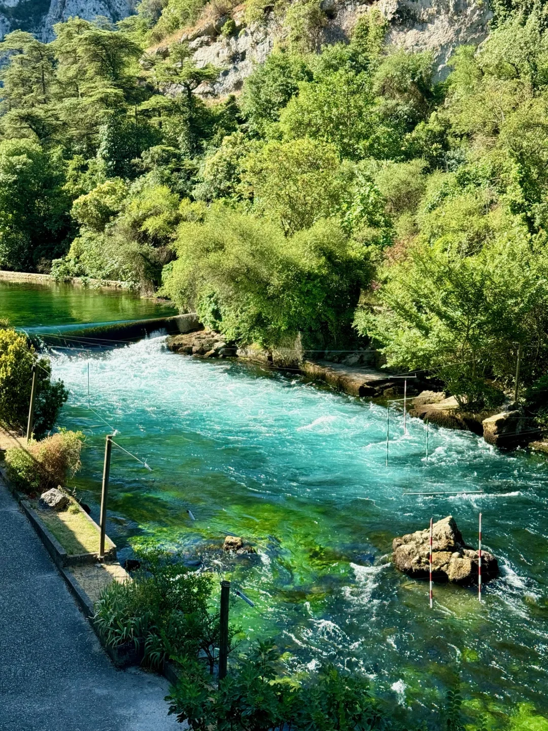一个人旅行🇫🇷一年飞了两次南法，后劲好大