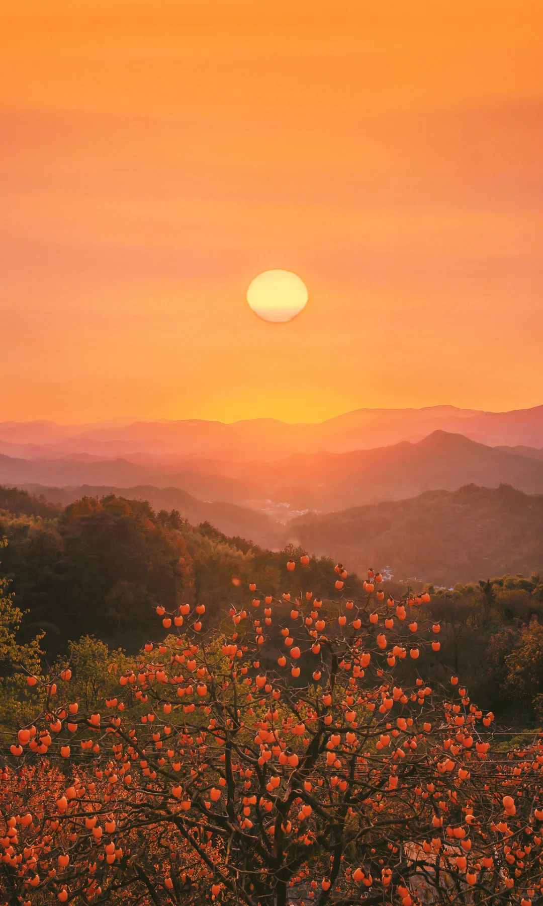接下来是徽州封神的秋天,期待值已经拉满了!