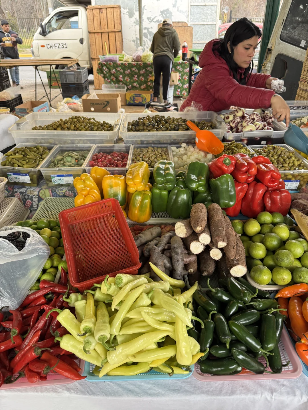 🇨🇱智利东区别再去超市买菜和水果了❗来这