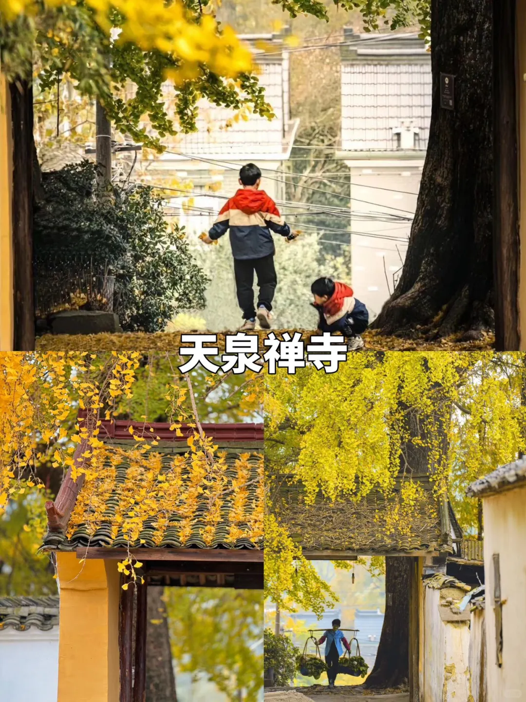 莫干山9️⃣大必打卡赏秋景点攻略躺看秋色