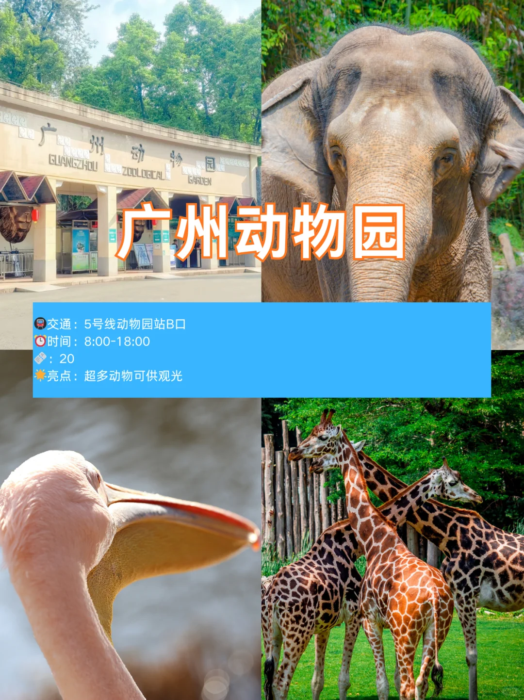 广州12个地铁直达景点，周末遛娃好去处！