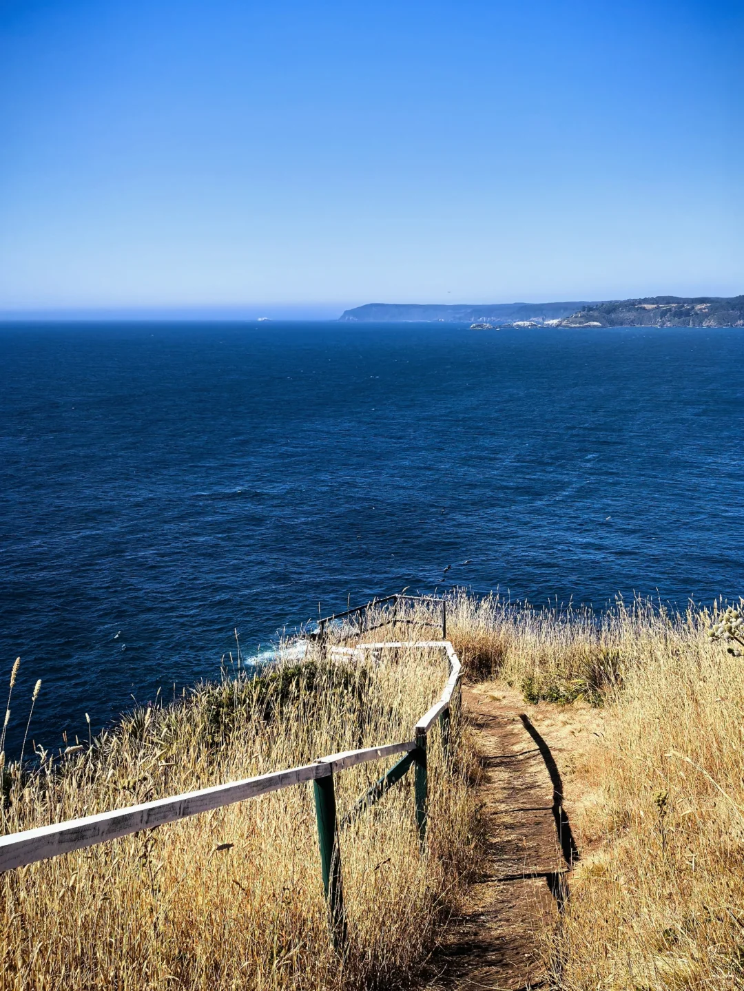 🇨🇱智利-康塞普西翁Concepción