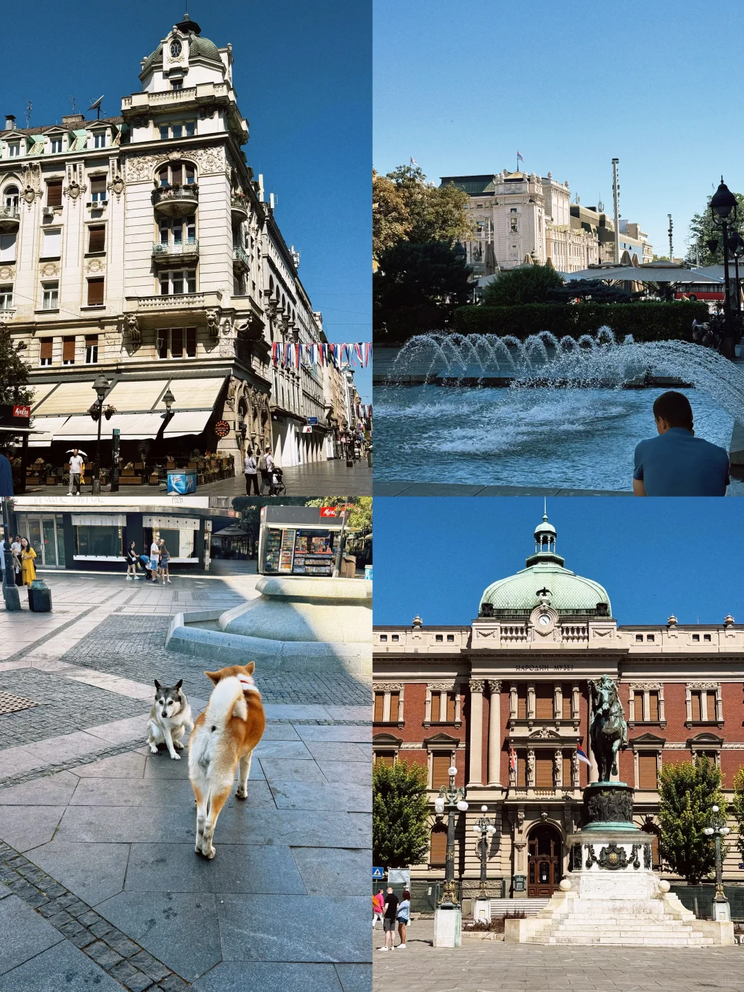 附行程‼️波塞黑保姆级攻略(懒人、小白来)