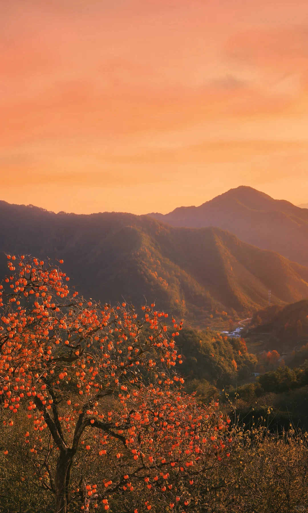 接下来是徽州封神的秋天,期待值已经拉满了!