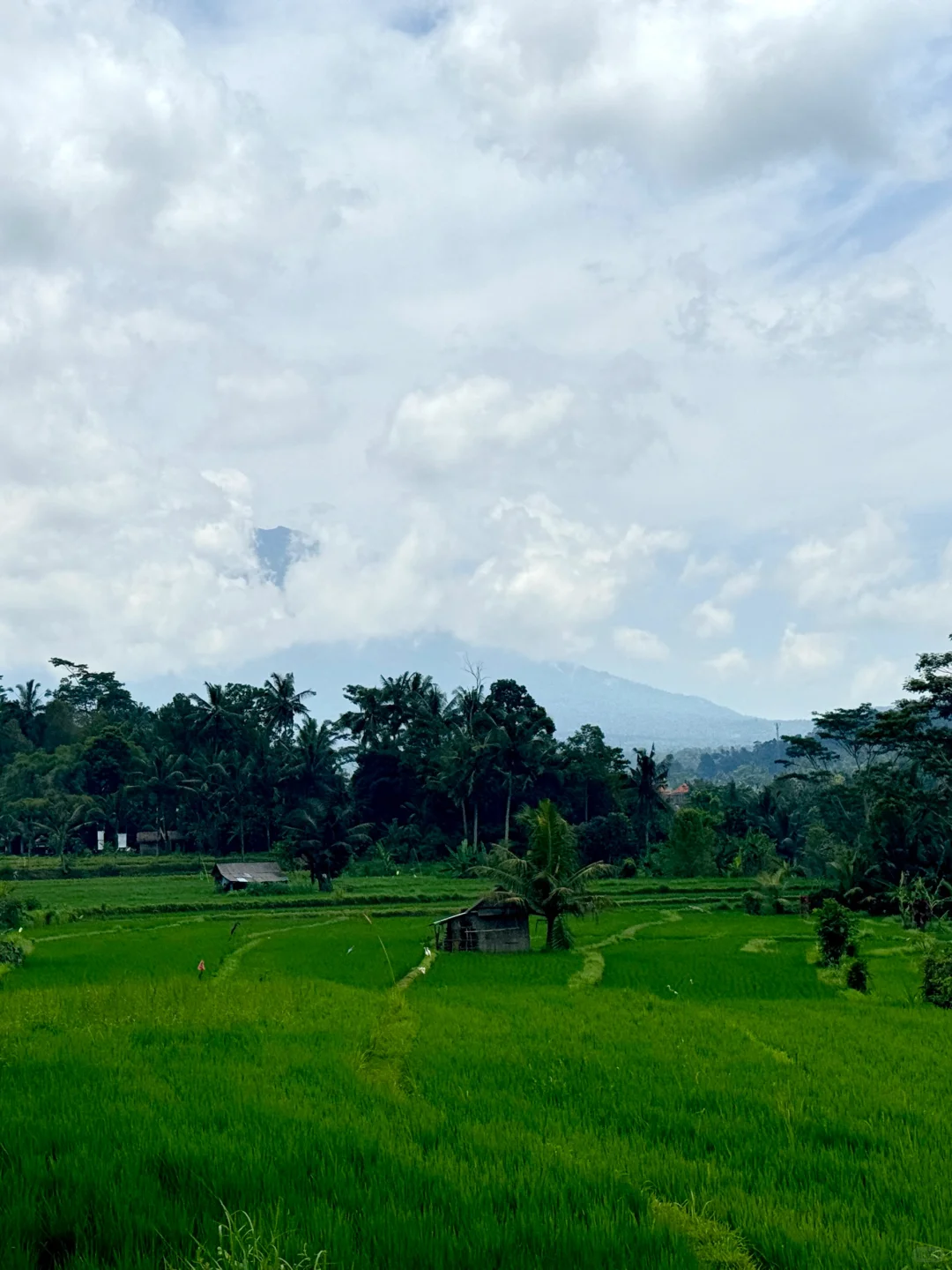 乌布梯田小众景点：Sidemen梯田攻略