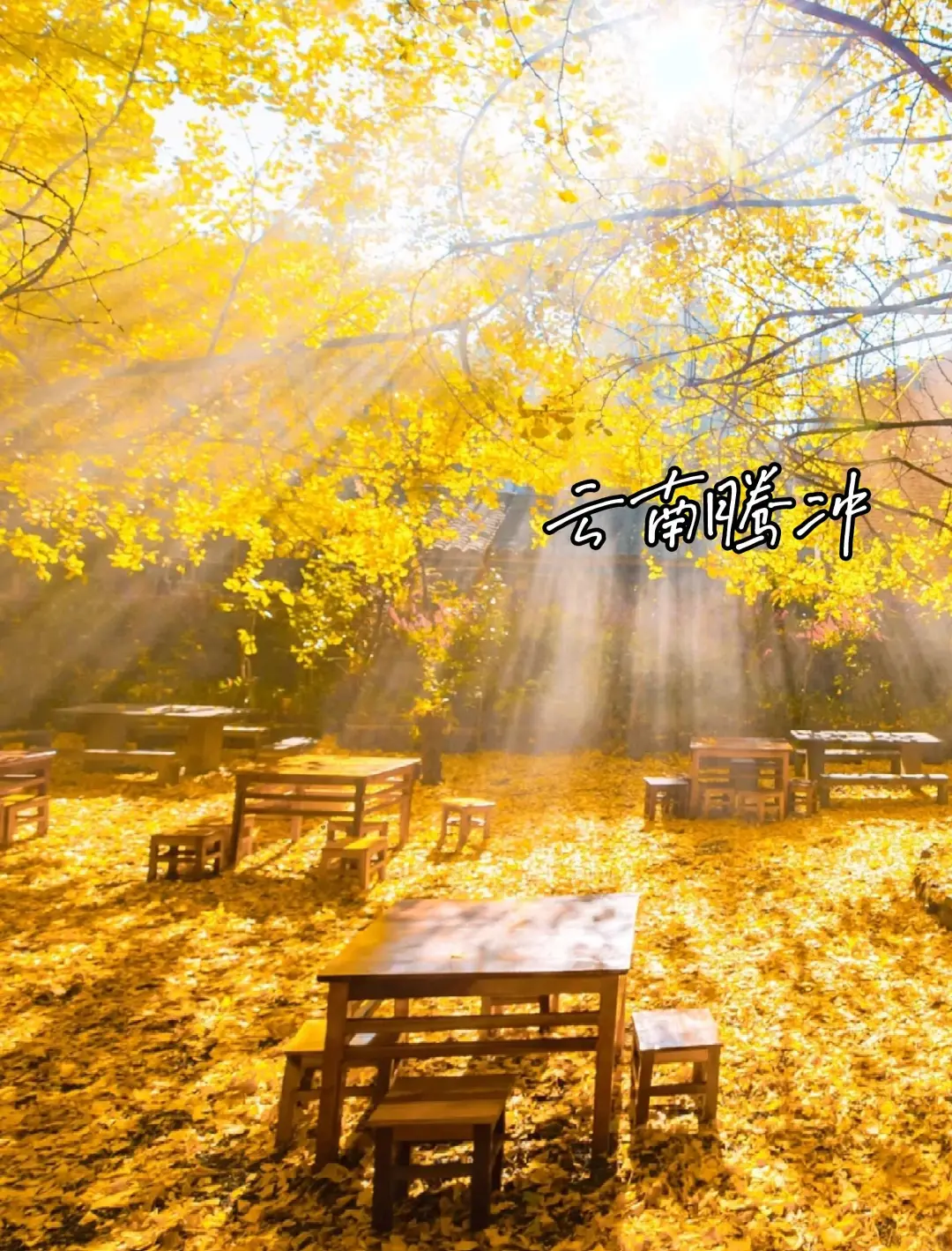 推荐8个✅适合9-11月去的封神赏秋地🍂