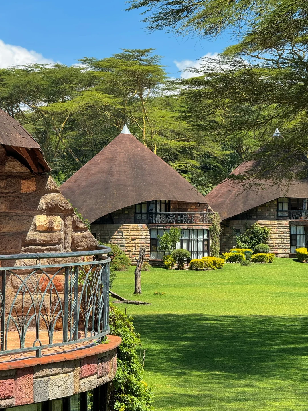 疯狂Kenya！🇰🇪