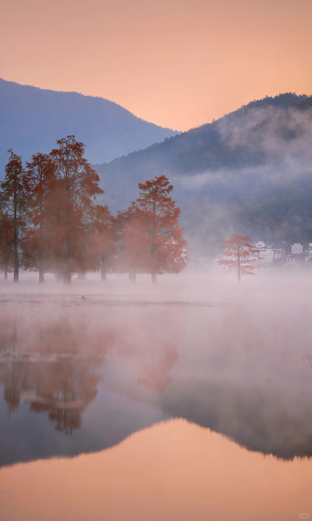 接下来是徽州封神的秋天,期待值已经拉满了!