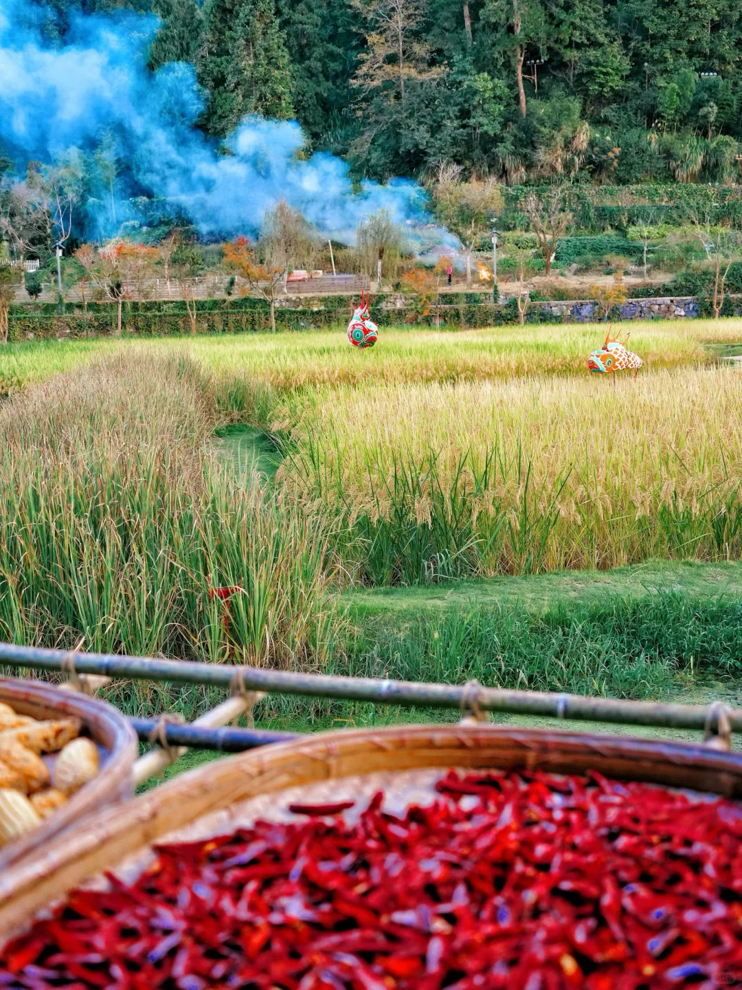 必👀📍安徽三日游🔥10个必打卡的宝藏景点‼️