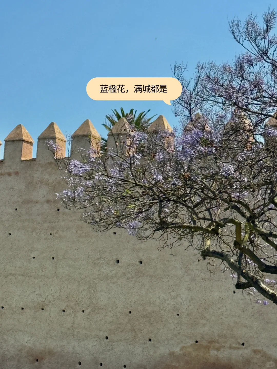 摩洛哥Rabat，太多的出乎意料。