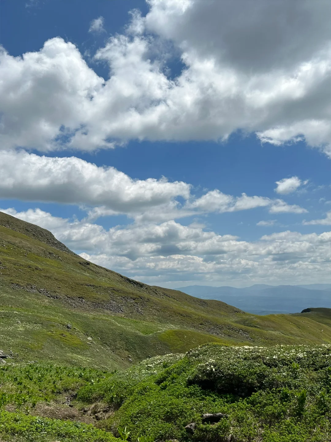 延吉，一个超级浪漫的城市（北京✈️4天3晚）