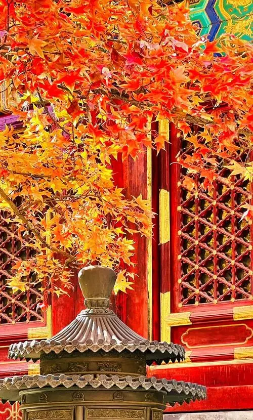 🍂 北京10大赏秋景点全景清单