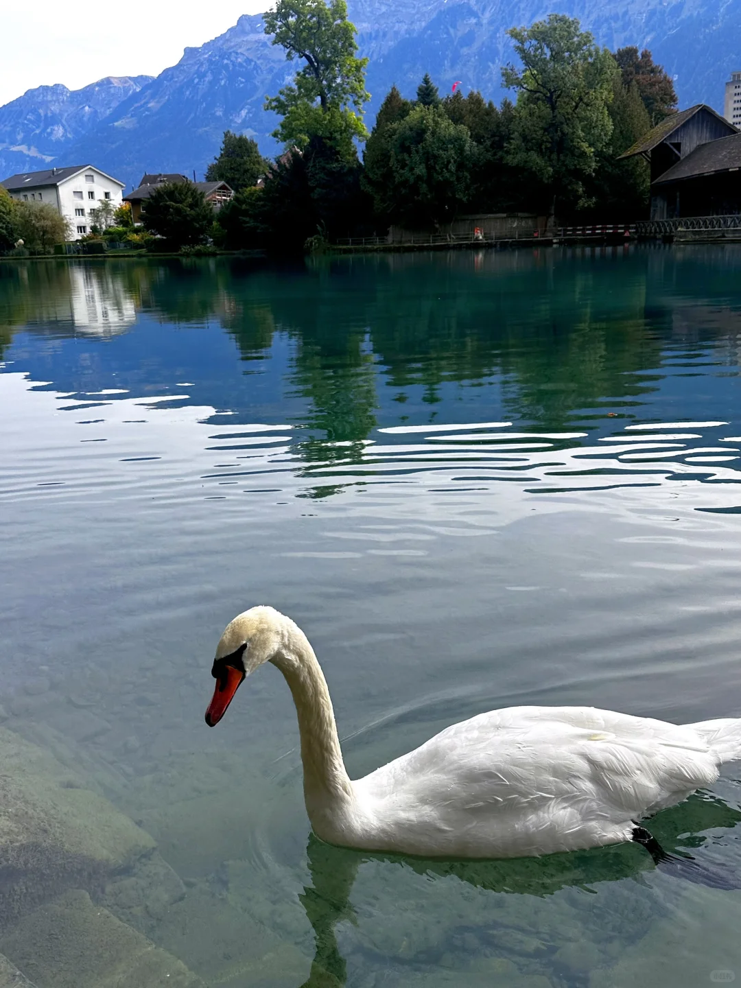 瑞士🇨🇭童话小镇的超美机位