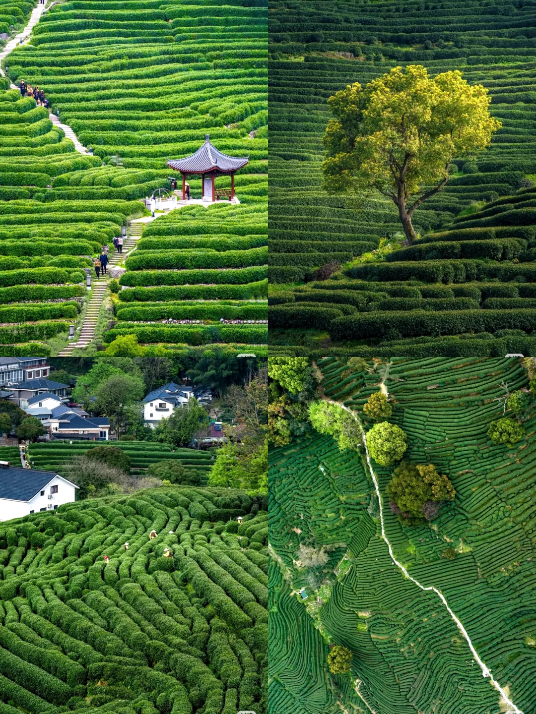 杭州最值得去的9个景点合集🔥出片率100%!