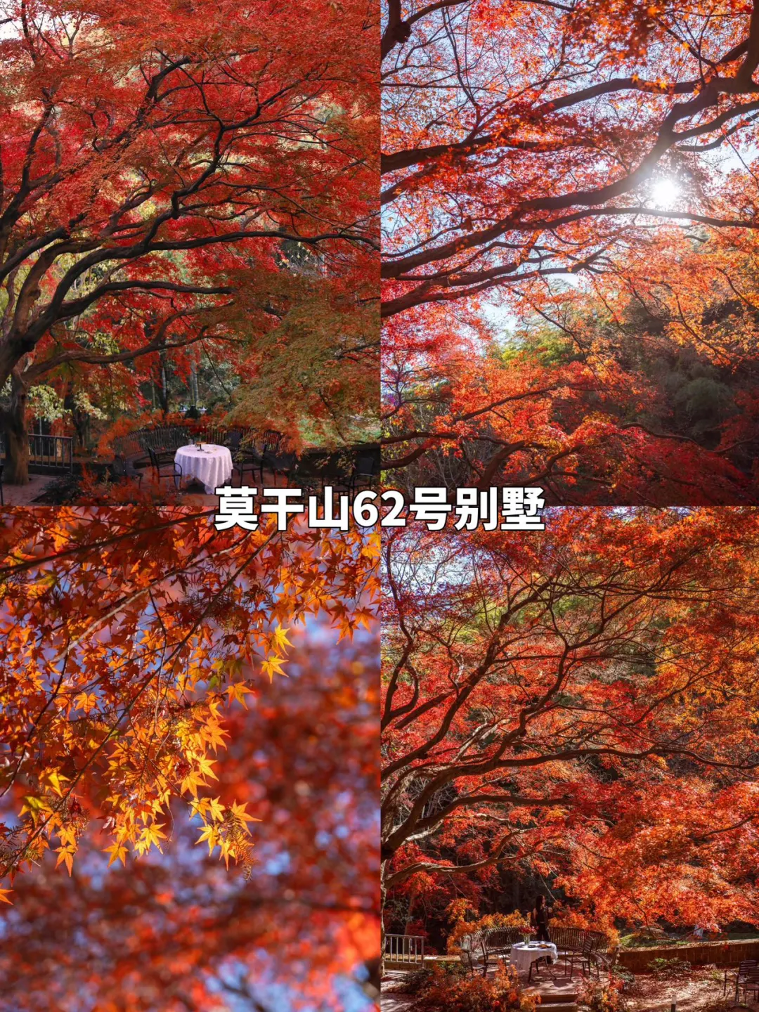 莫干山9️⃣大必打卡赏秋景点攻略躺看秋色