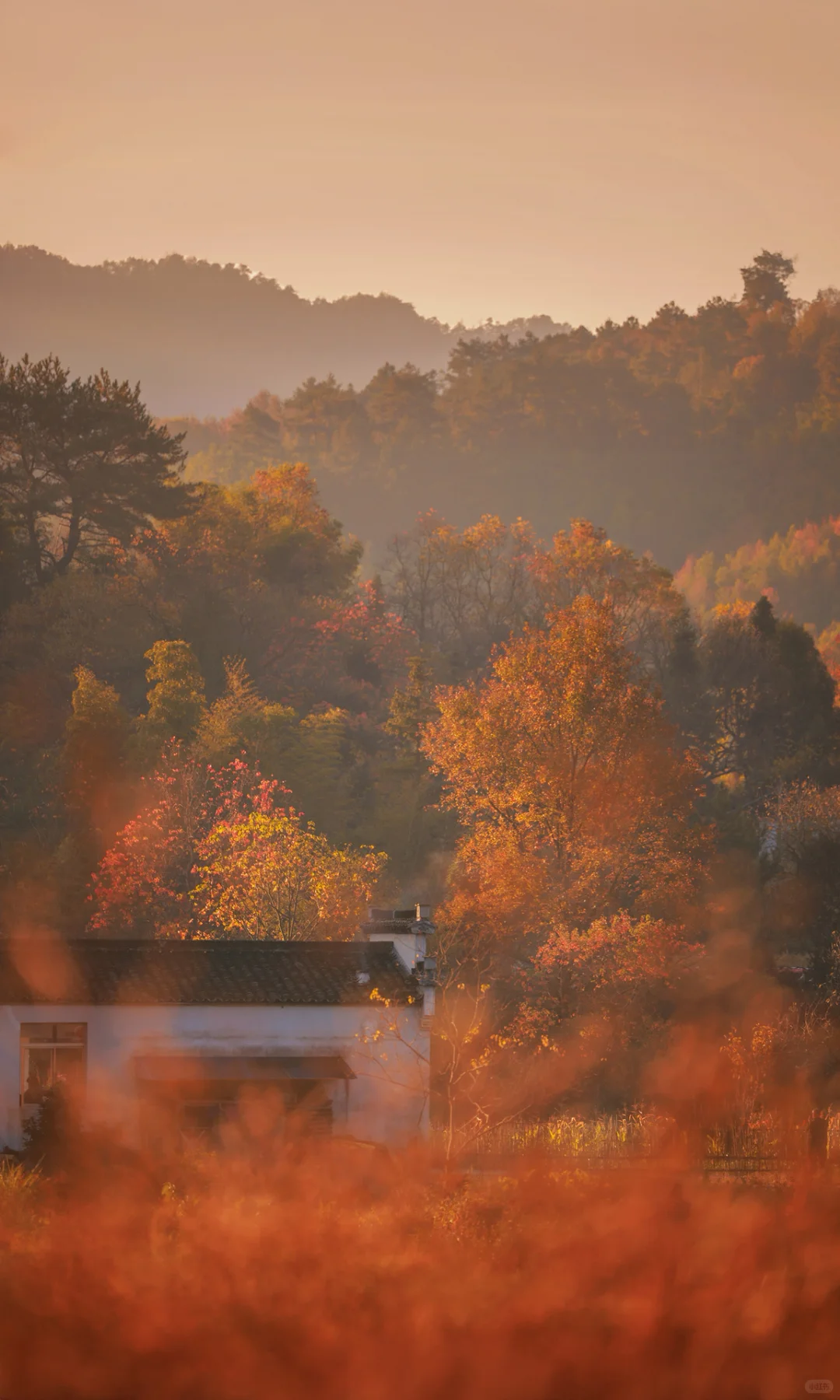 接下来是徽州封神的秋天,期待值已经拉满了!