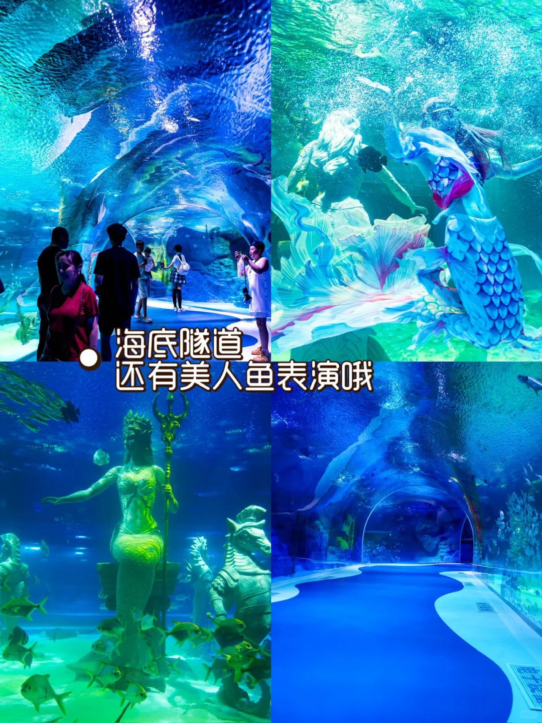 哈尔滨五天悠哉亲子游|轻松不累真实攻略