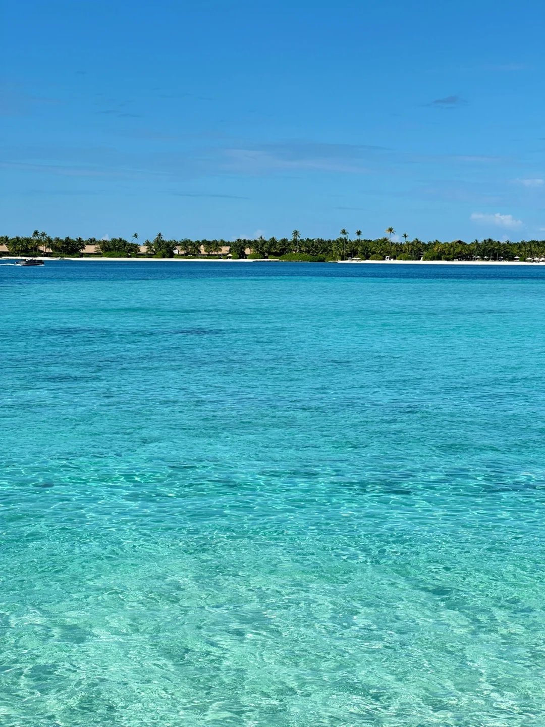 在马尔代夫🇲🇻找到了Live图的意义