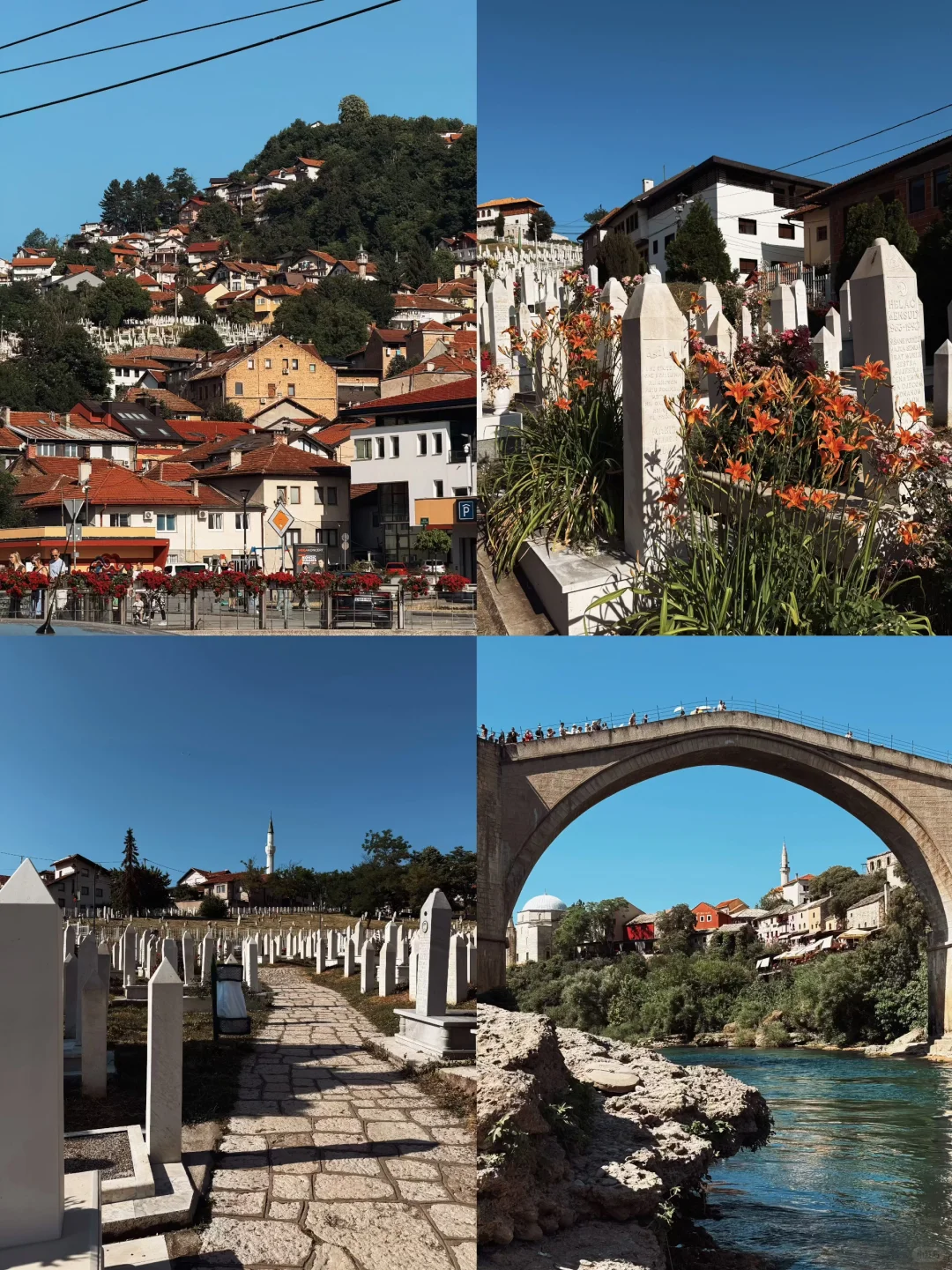 附行程‼️波塞黑保姆级攻略(懒人、小白来)