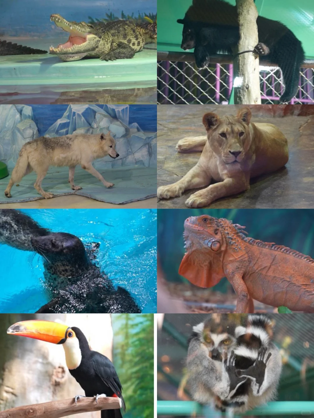 哈尔滨五天悠哉亲子游|轻松不累真实攻略