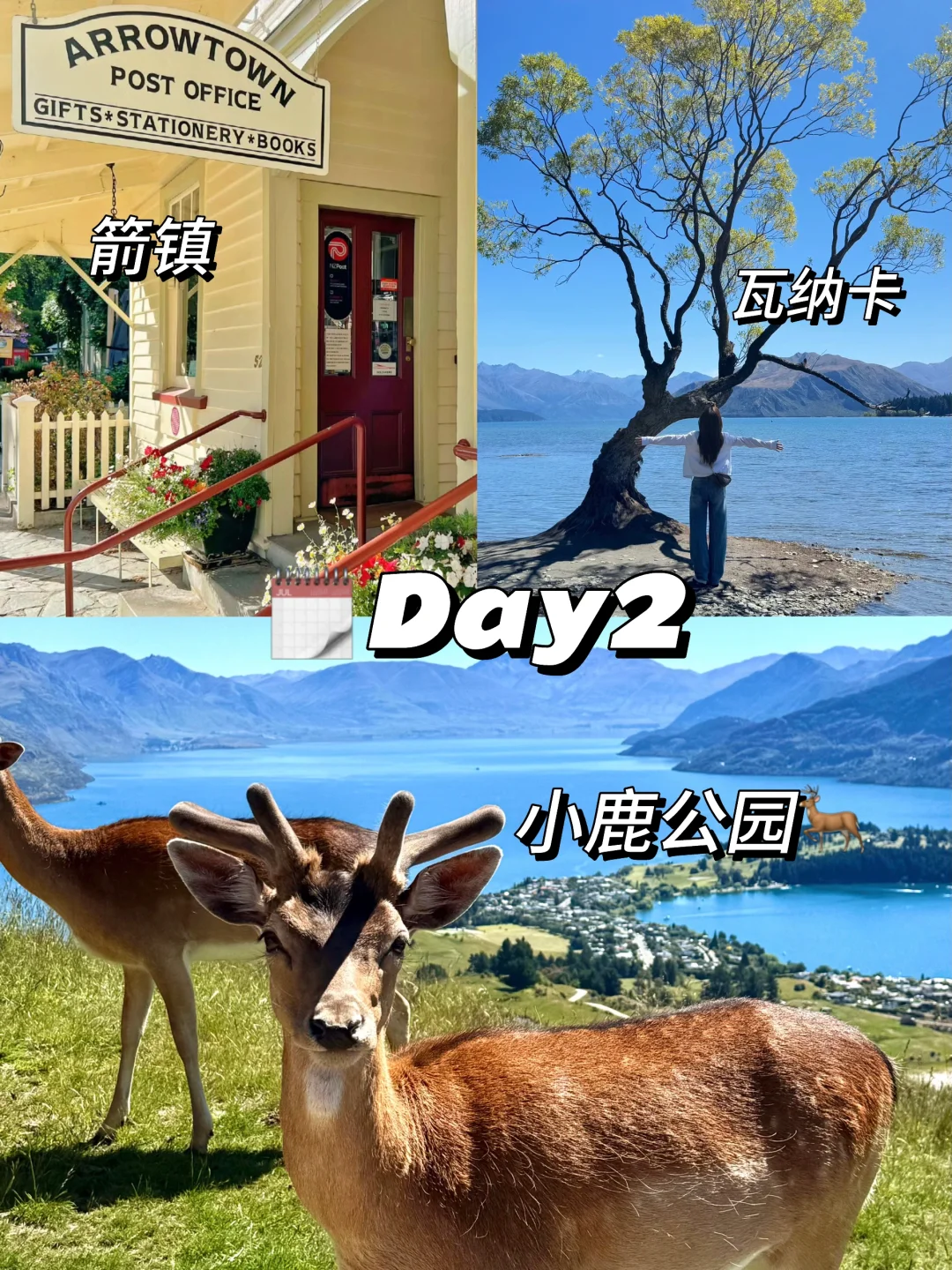 🇳🇿新西兰6天5夜行程攻略✈️