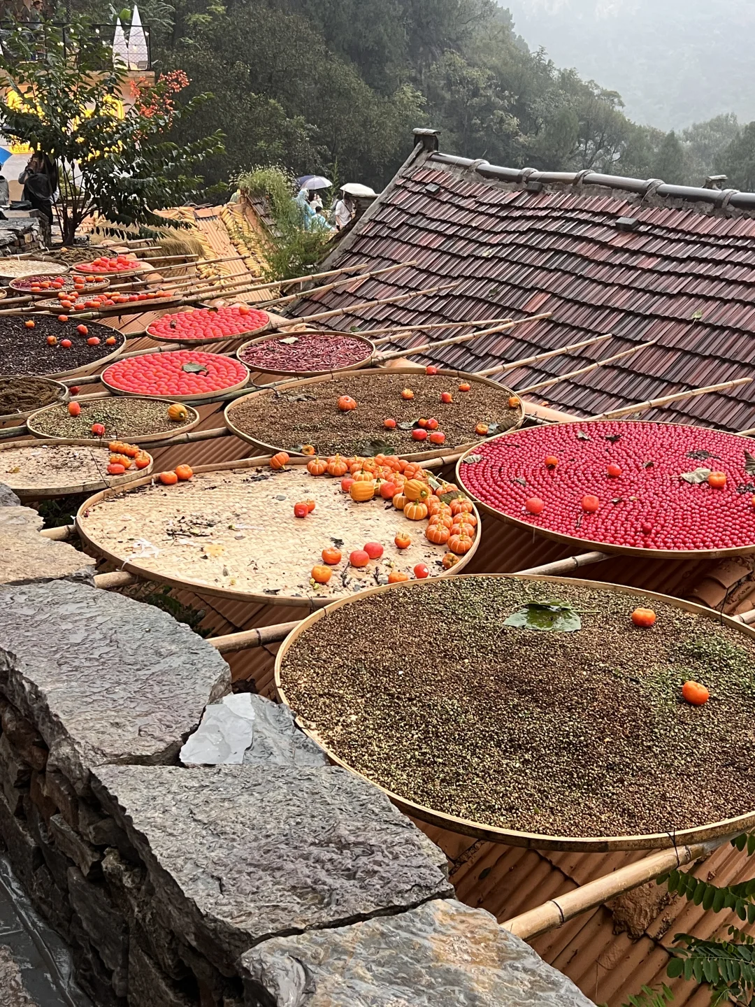 不用远赴婺源，也能get同款晒秋了🍂