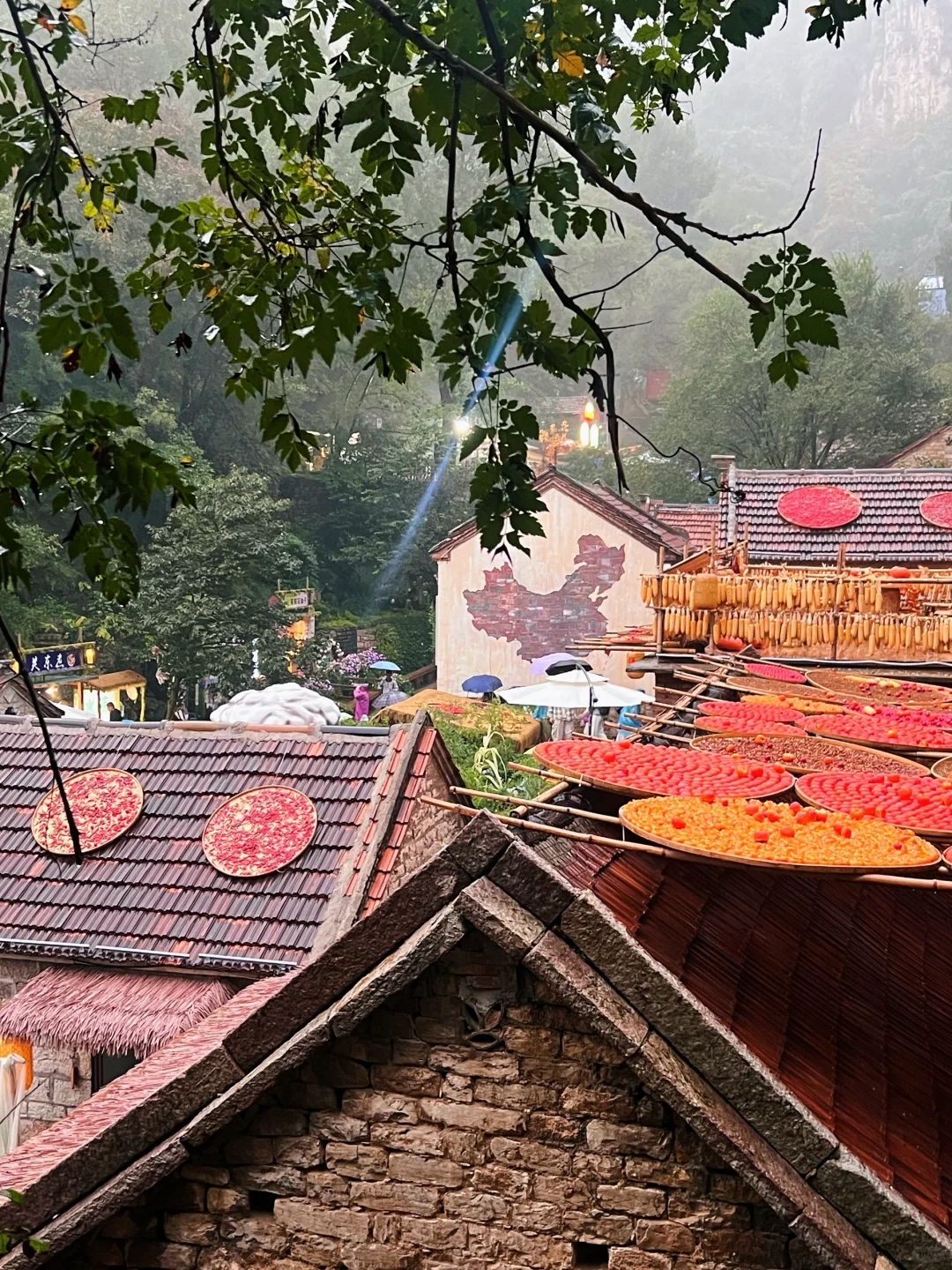 不用远赴婺源，也能get同款晒秋了🍂