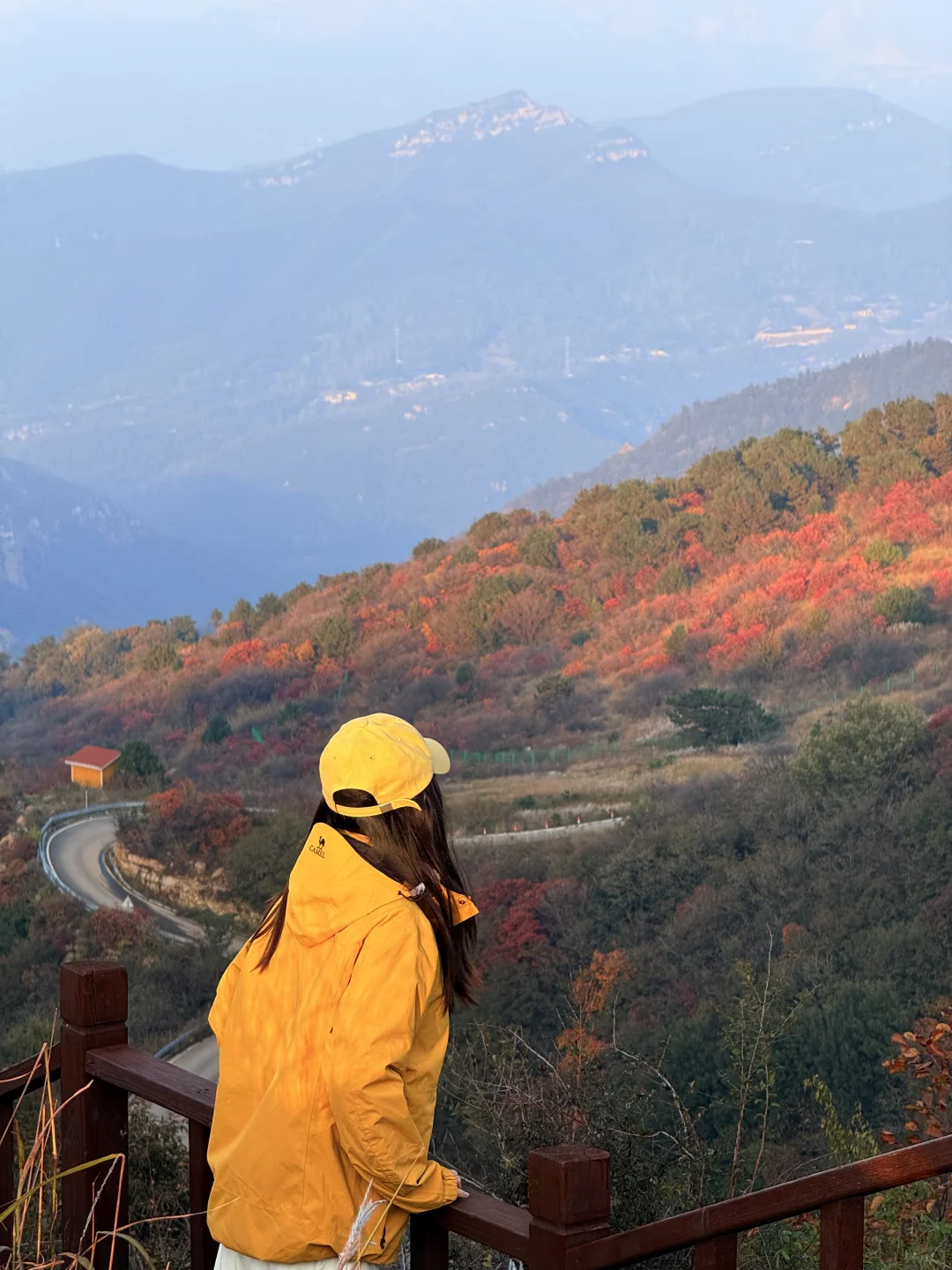 此刻！嵩山已漫山红遍🍁免费赏红叶路线