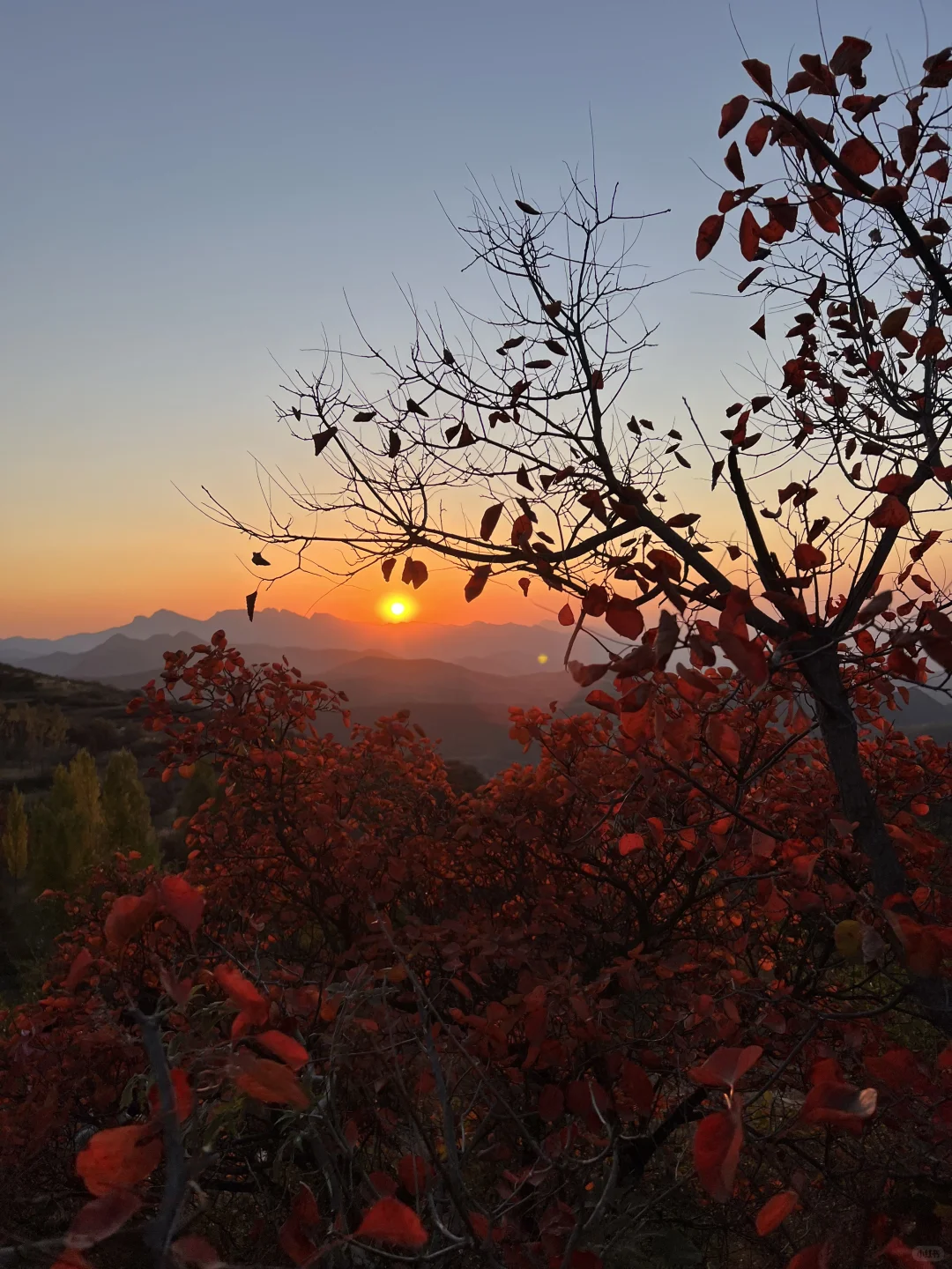 此刻！嵩山已漫山红遍🍁免费赏红叶路线