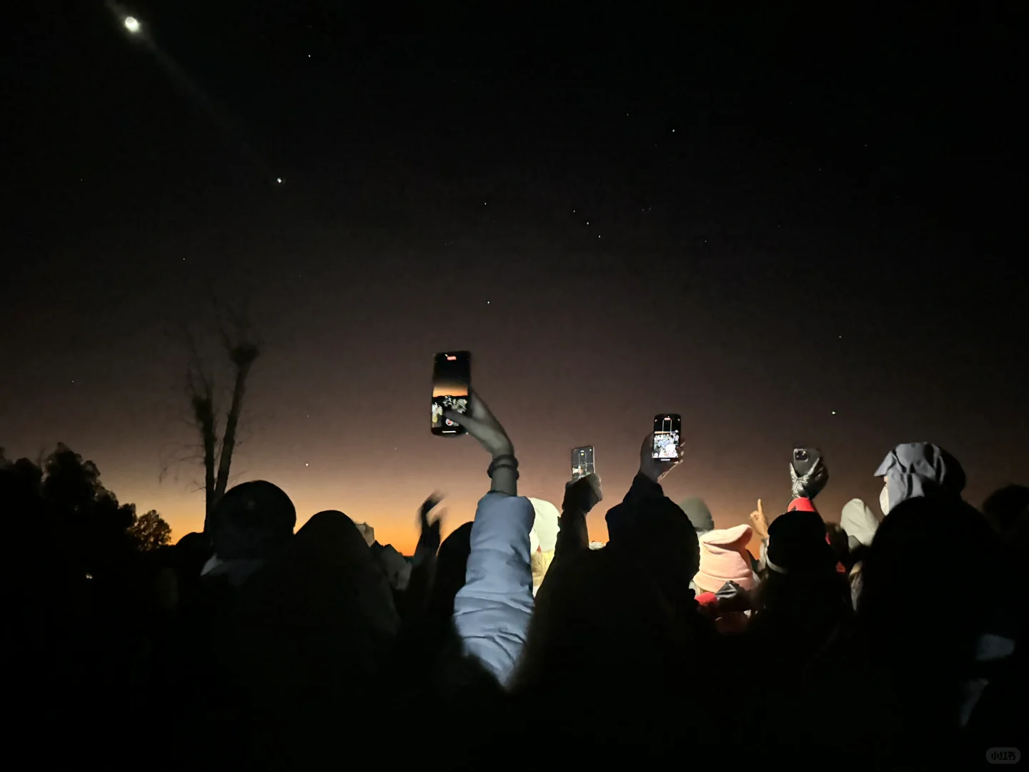 巴厘岛泗水｜7天全方位攻略🇮🇩