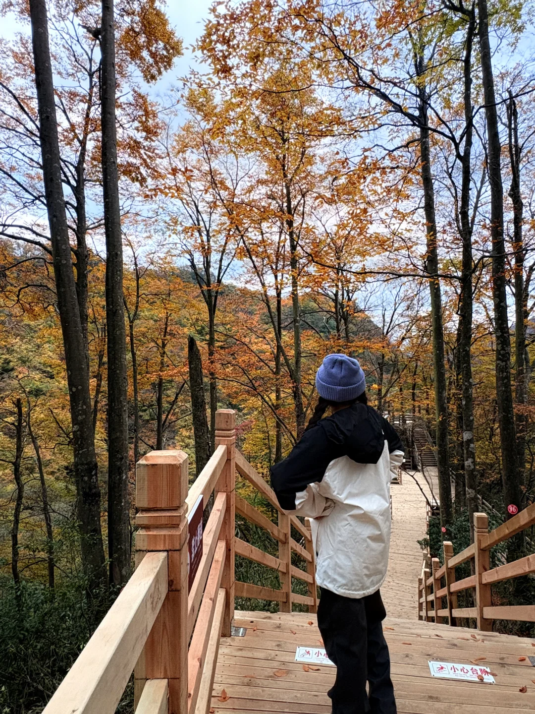 光雾山之米仓山景区攻略(10月27日)