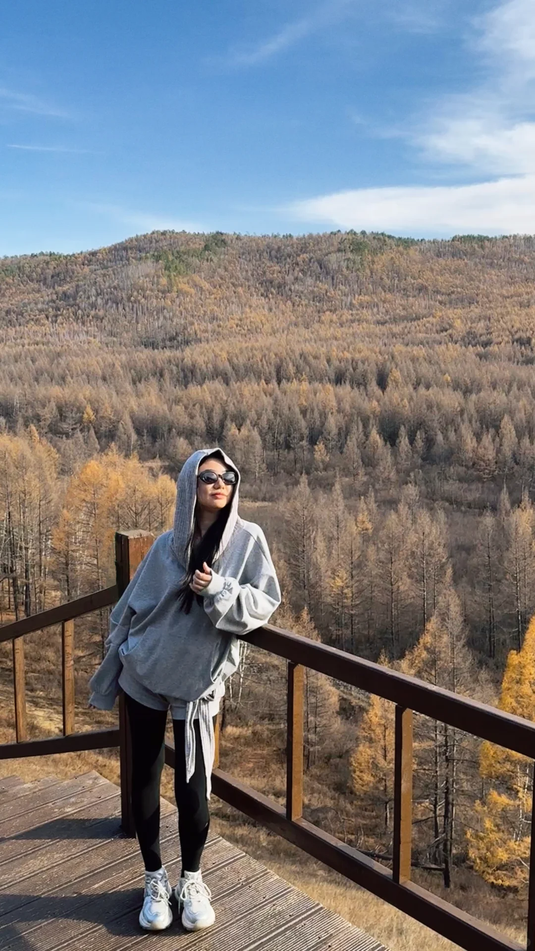 入林💛丨莫尔道嘎国家森林公园★专题篇