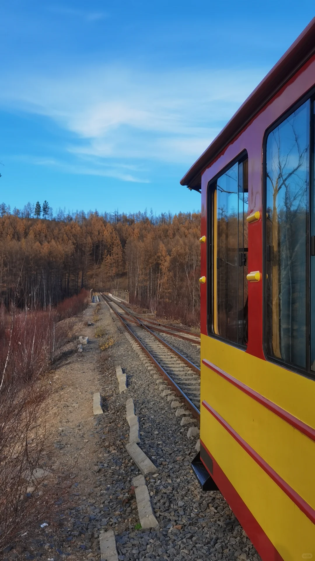 入林💛丨莫尔道嘎国家森林公园★专题篇