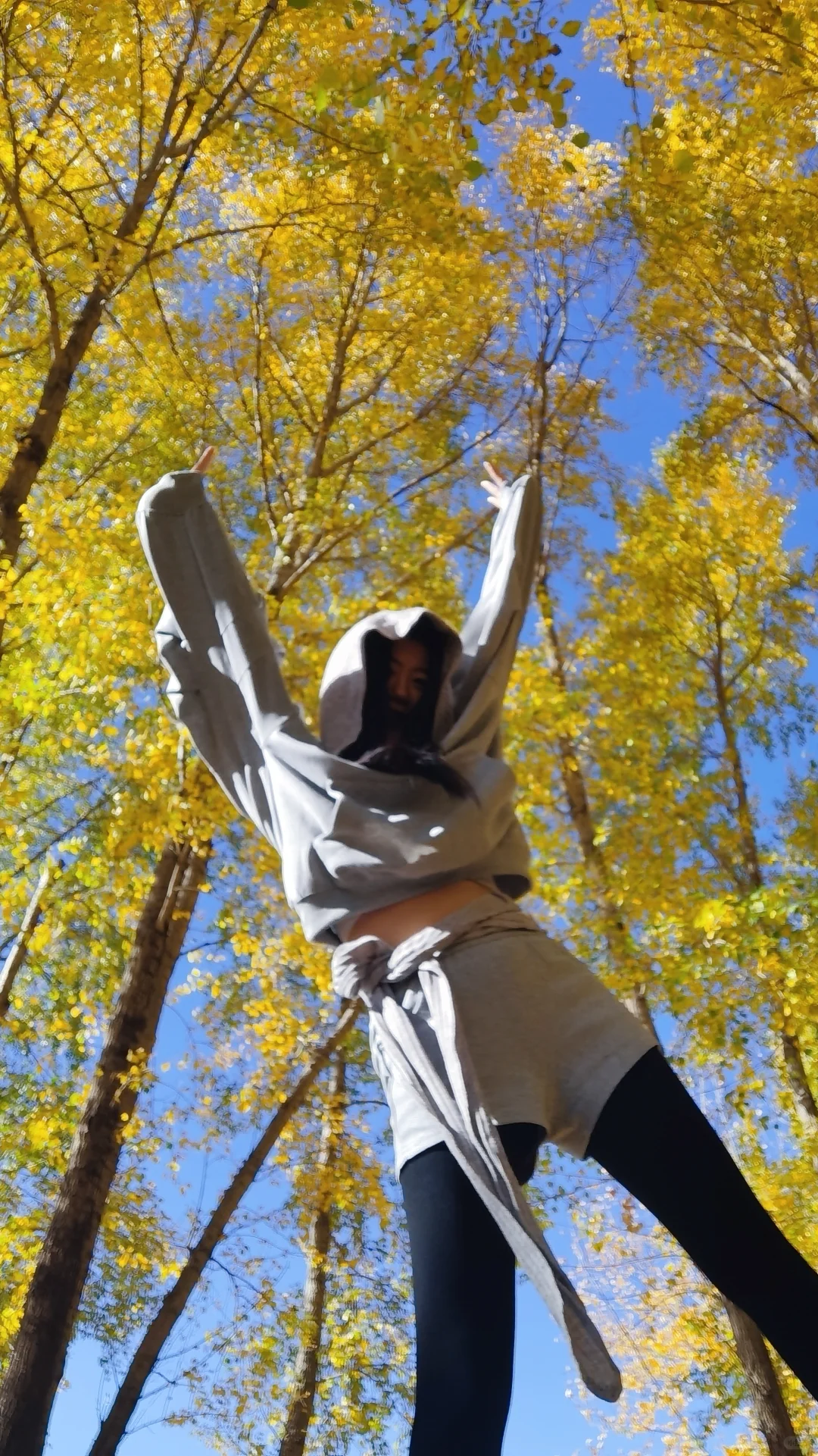 入林💛丨莫尔道嘎国家森林公园★专题篇