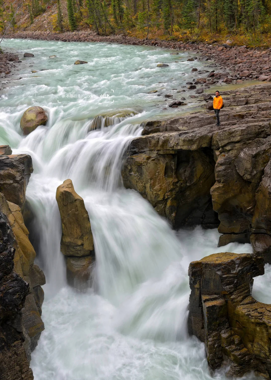 人生建议：去趟秋天的加拿大公路旅游一次🍁