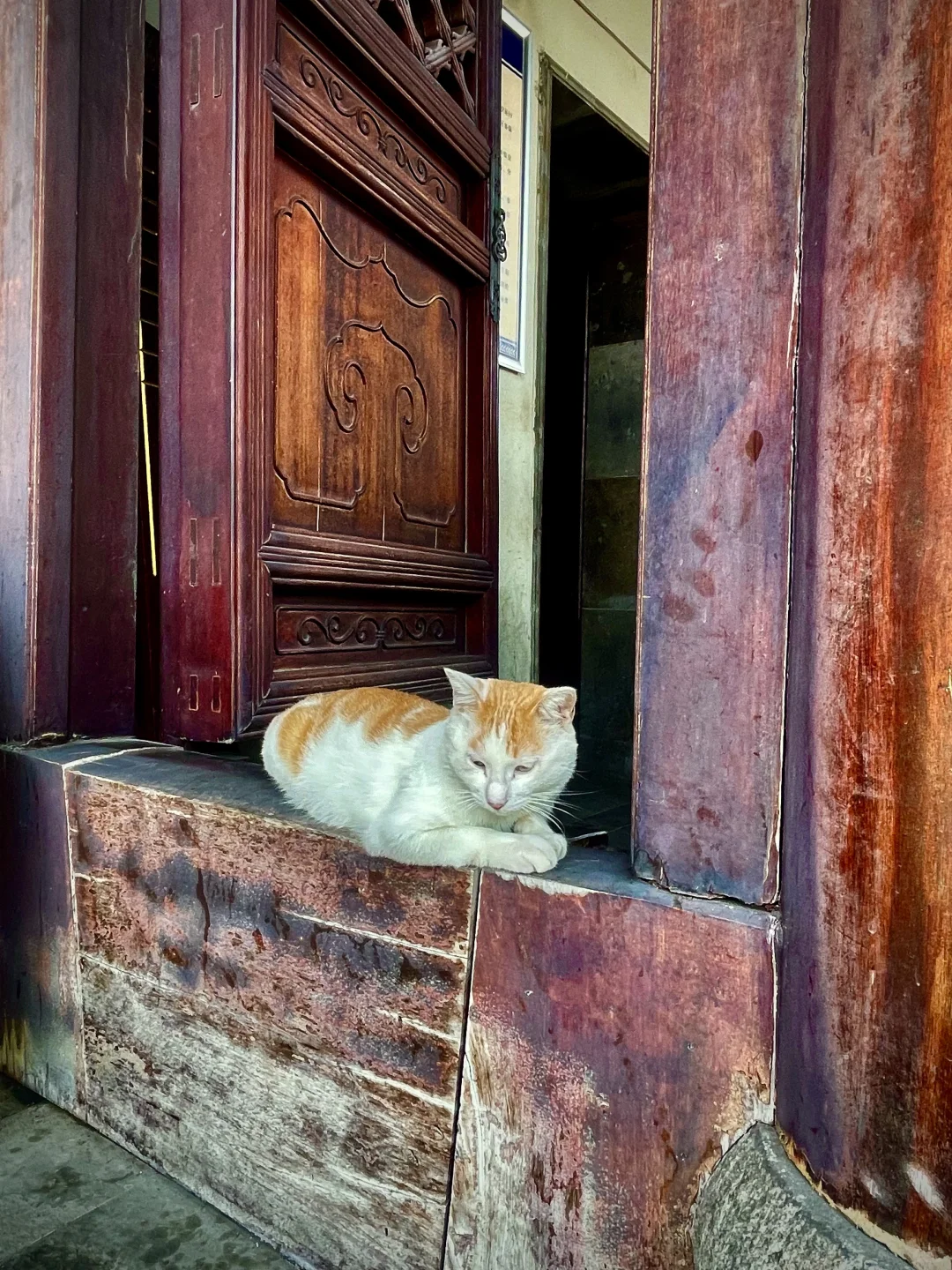 江北水城--聊城