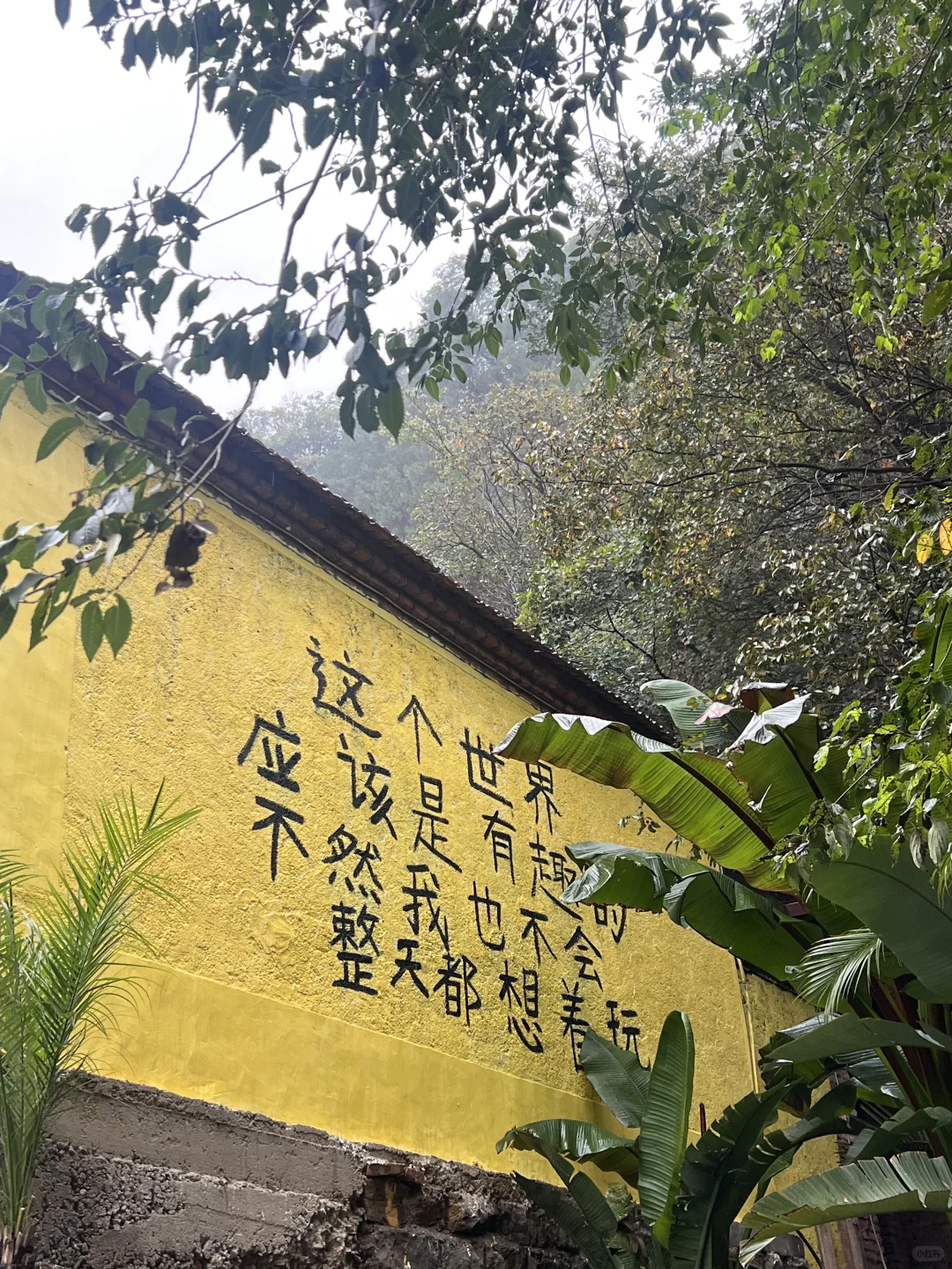 不用远赴婺源，也能get同款晒秋了🍂