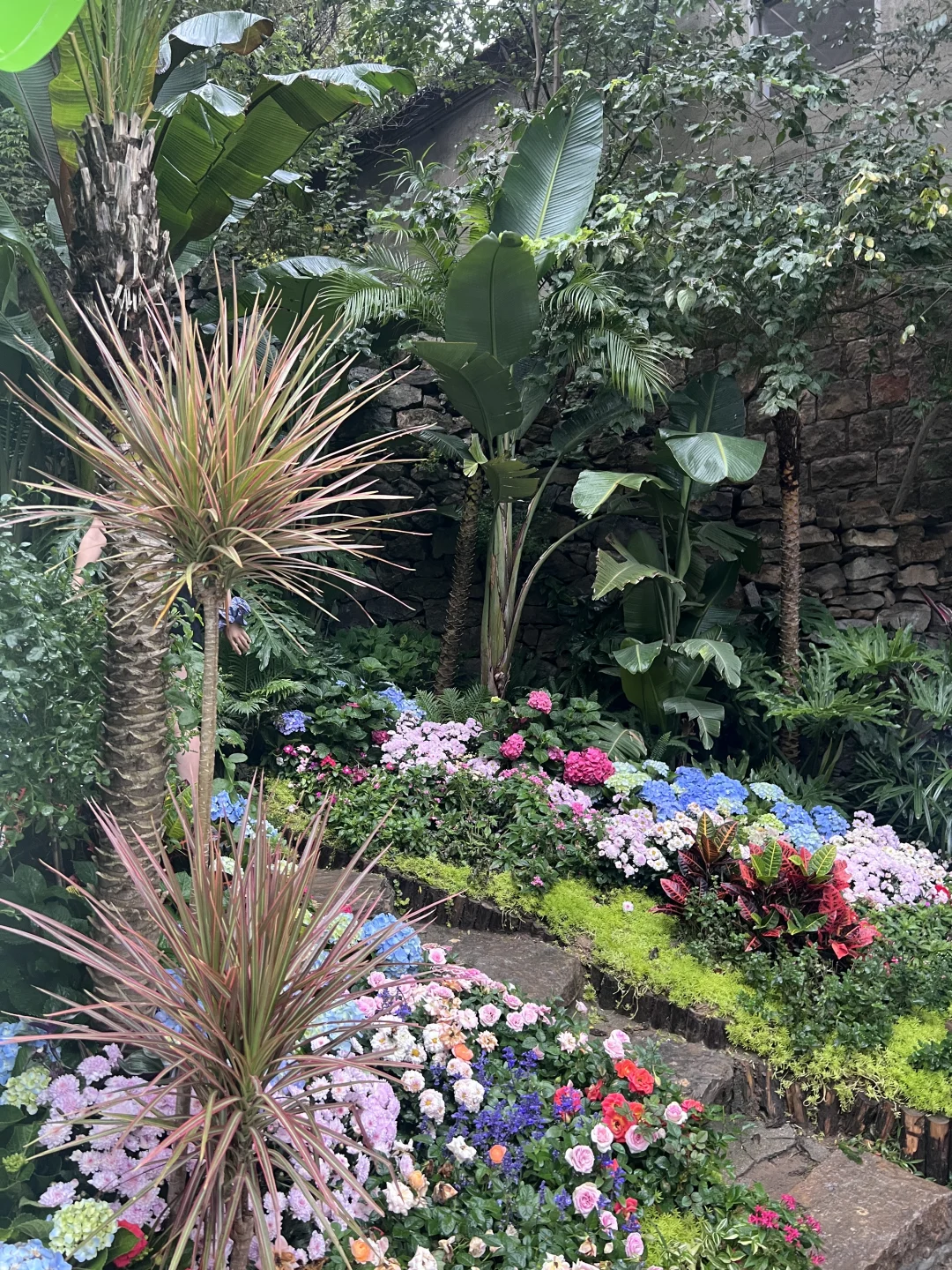 不用远赴婺源，也能get同款晒秋了🍂