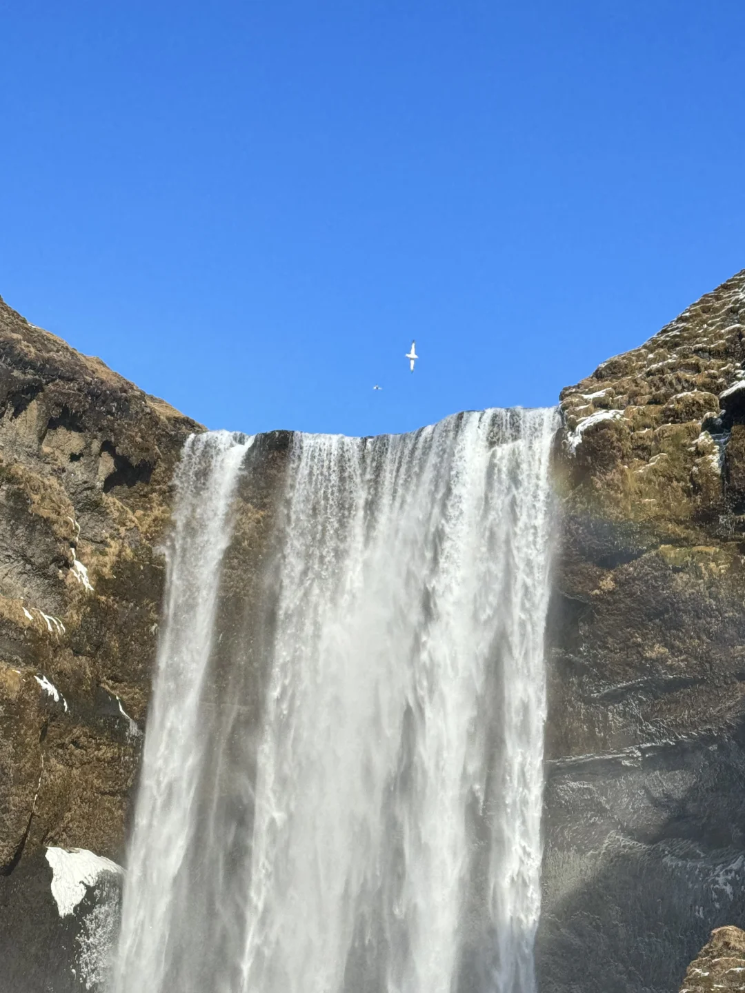 是专属于北欧的livephoto 🥂