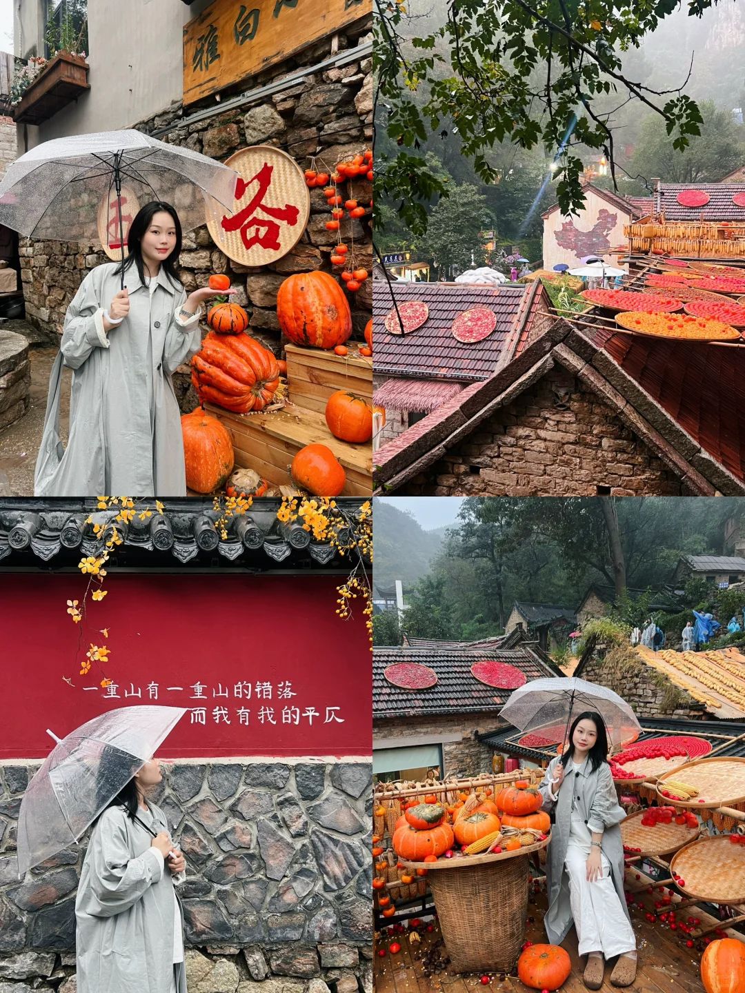 不用远赴婺源，也能get同款晒秋了🍂