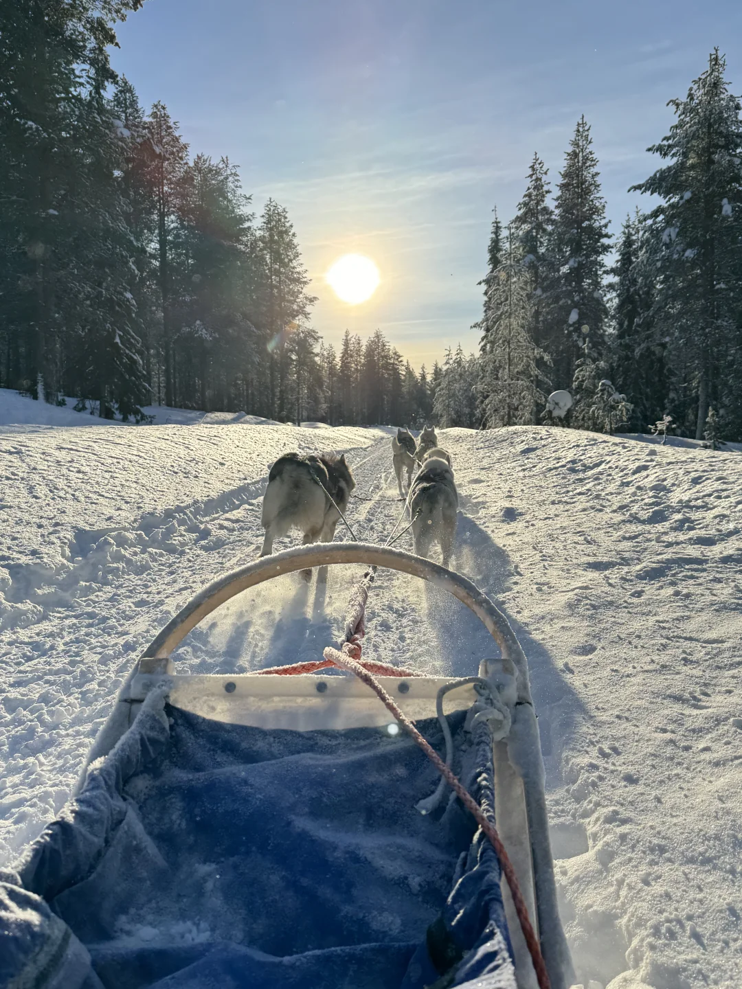 是专属于北欧的livephoto 🥂