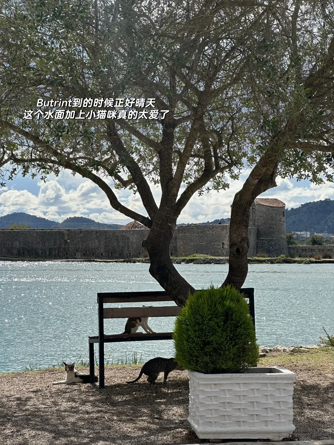 🇦🇱为什么没有人给欧区留子推荐这里啊！！