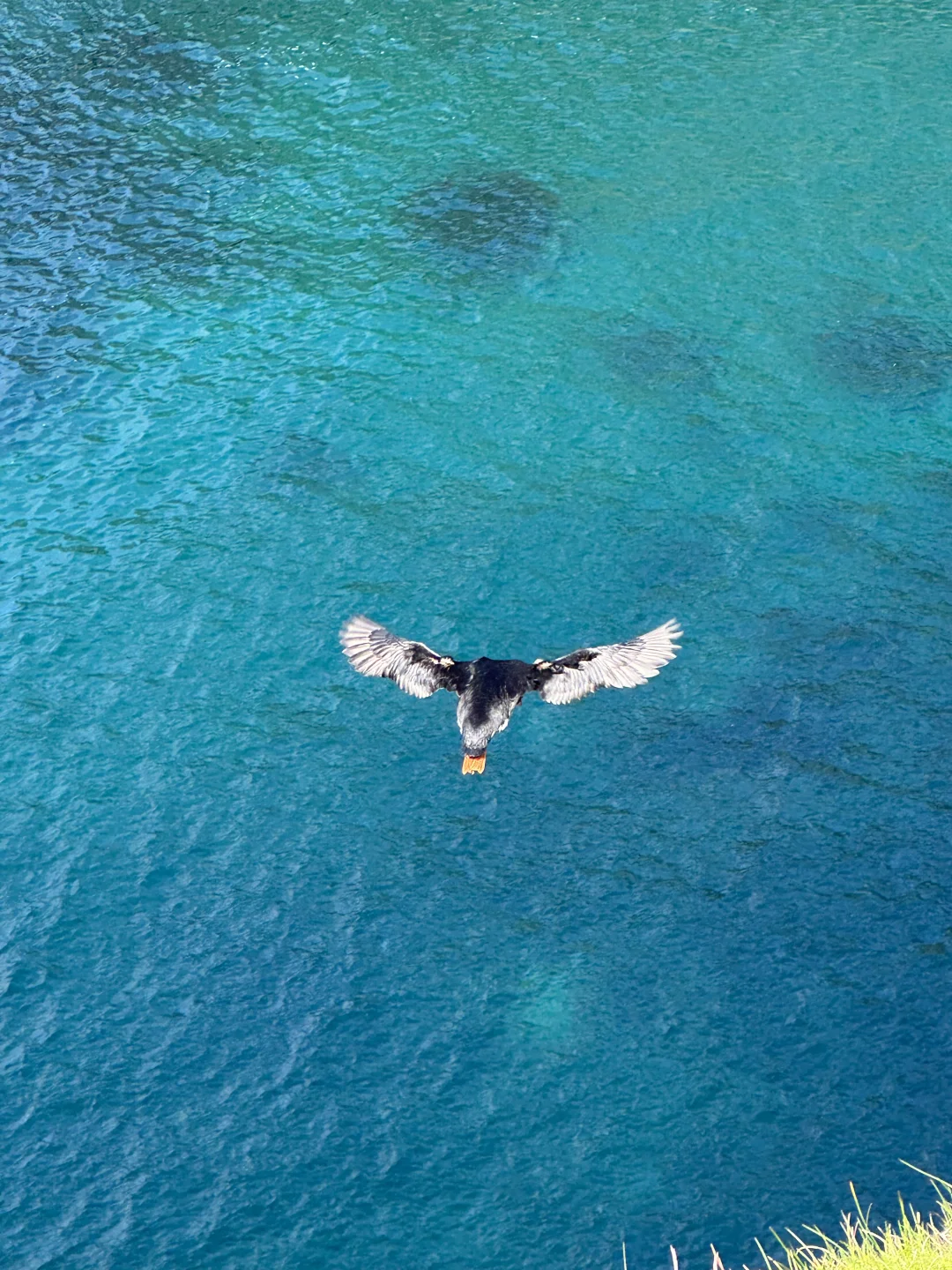 我终于来到世界尽头：法罗群岛❗️附手绘攻略