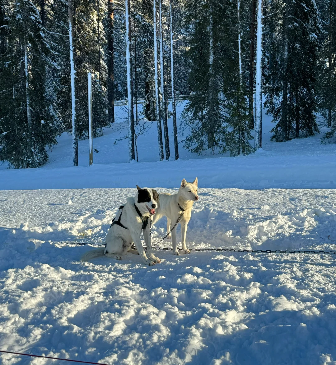 是专属于北欧的livephoto 🥂
