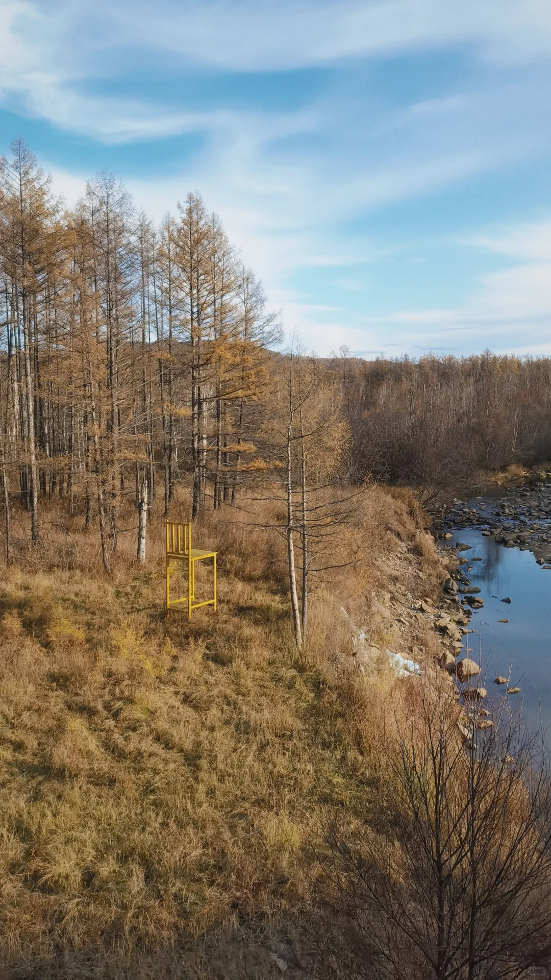 入林💛丨莫尔道嘎国家森林公园★专题篇