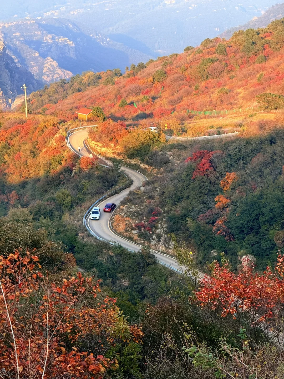 此刻！嵩山已漫山红遍🍁免费赏红叶路线